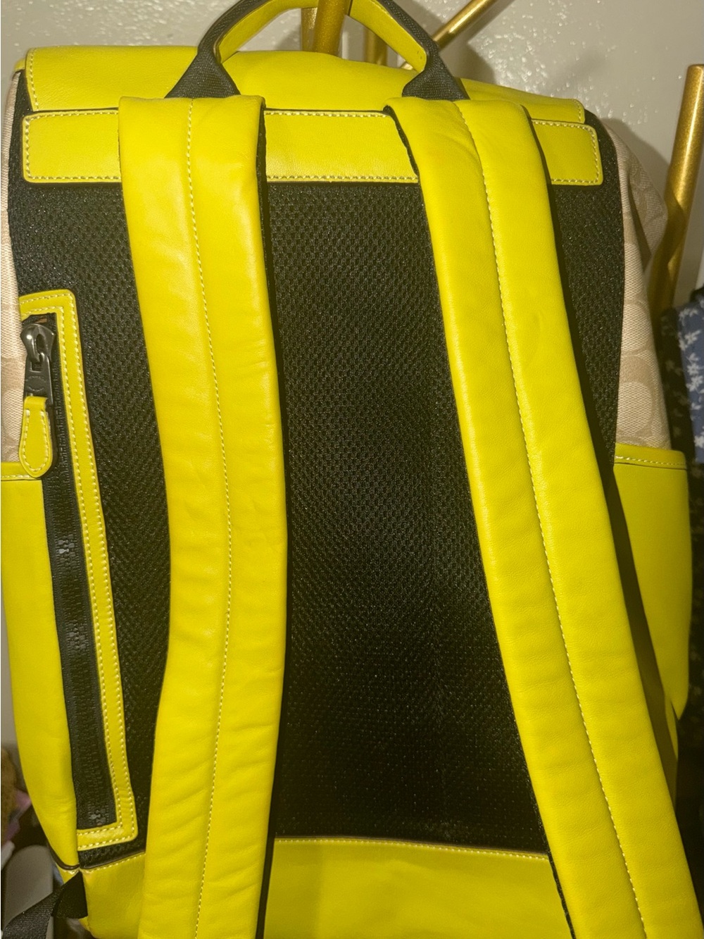 Coach Yellow-Green Signature Canvas Backpack - Picture 7 of 7